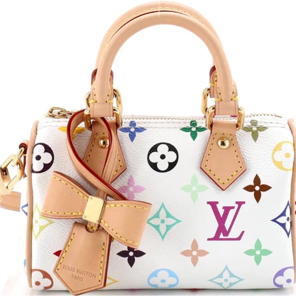 Louis Vuitton Multicolor Monogram Mini Bag